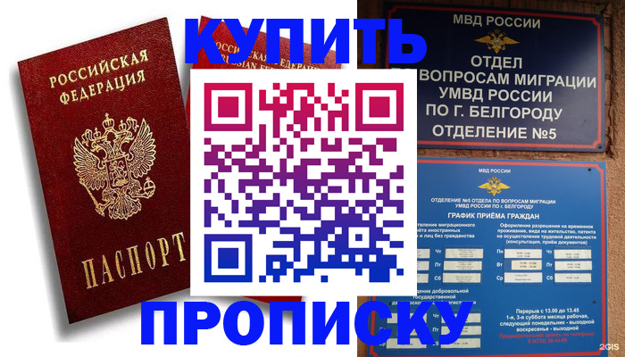 прописка иностранных граждан в Алексине